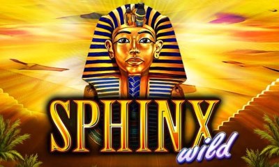 Sphinx Wild