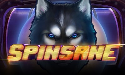 Spinsane