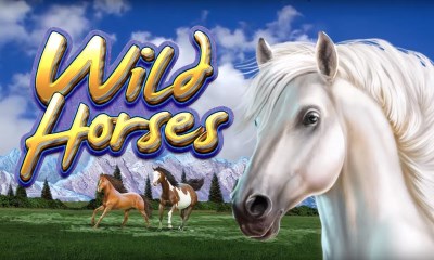 Wild Horses